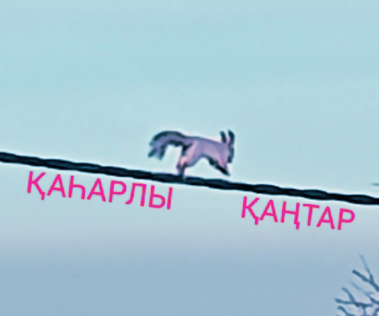 «Қаһарлы Қаңтар» тарихи-деректі сұқбат